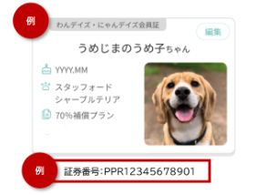 スクリーンショット 2024-10-11 143545